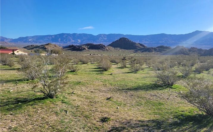 Pictures of Land property located at Rabbit Springs, Lucerne Valley, CA 92356 for sales - image #1
