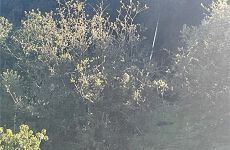 30810949