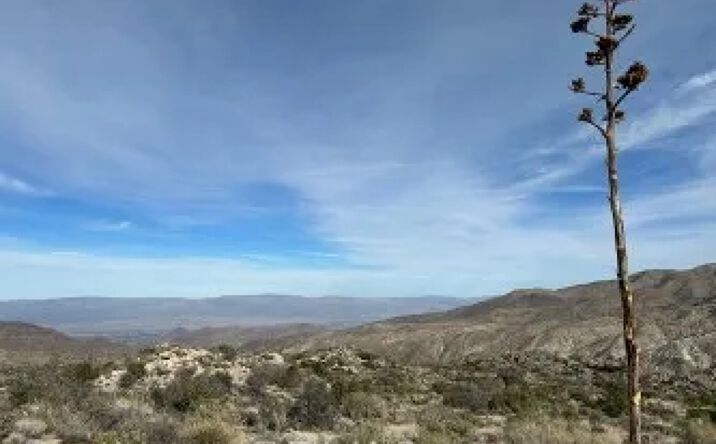 Pictures of Land property located at Hwy 74, Mountain Center, CA 92561 for sales - image #1
