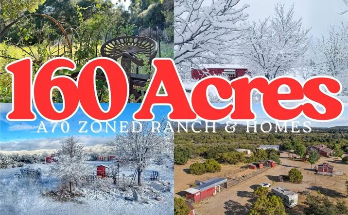 Pictures of Land property located at 29820 Chihuahua Valley, Warner Springs, CA 92086 for sales - image #1