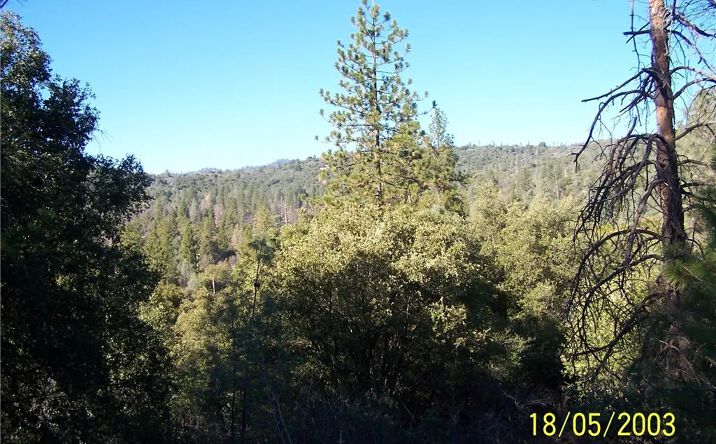 Pictures of Land property located at 10 Jean Rd West, Oakhurst, CA 93644 for sales - image #1