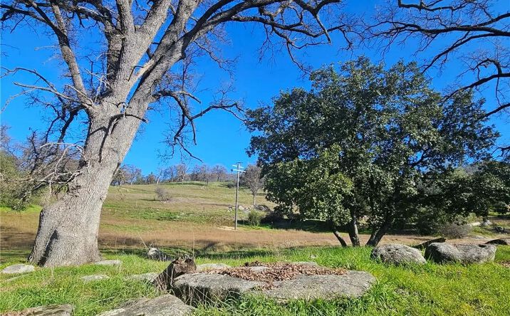 Pictures of Land property located at 59366 Road 225, North Fork, CA 93643 for sales - image #1