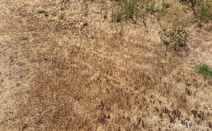 Pictures of Land property located at 1 W Avenue Q, Palmdale, CA 93551 for sales - image #1