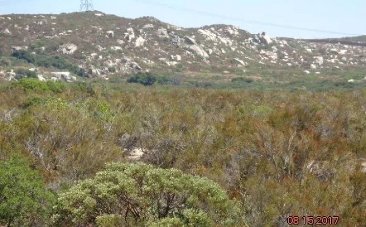 Pictures of Land property located at 20 Buckman Springs, Campo, CA 91906 for sales - image #1