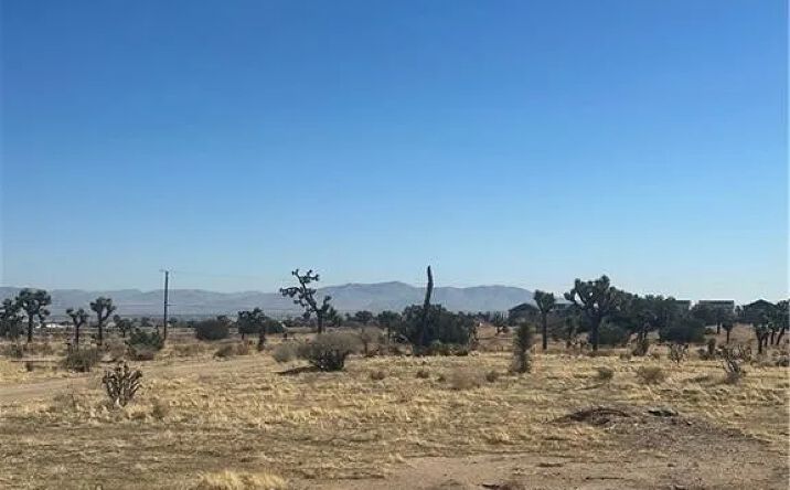 Pictures of Land property located at Datura, Hesperia, CA 92345 for sales - image #1
