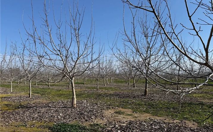 Pictures of Land property located at Mcfadden, Chico, CA 95928 for sales - image #1