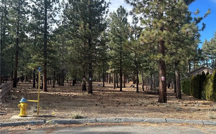 Pictures of Land property located at 1801 Shady, Big Bear City, CA 92314 for sales - image #1