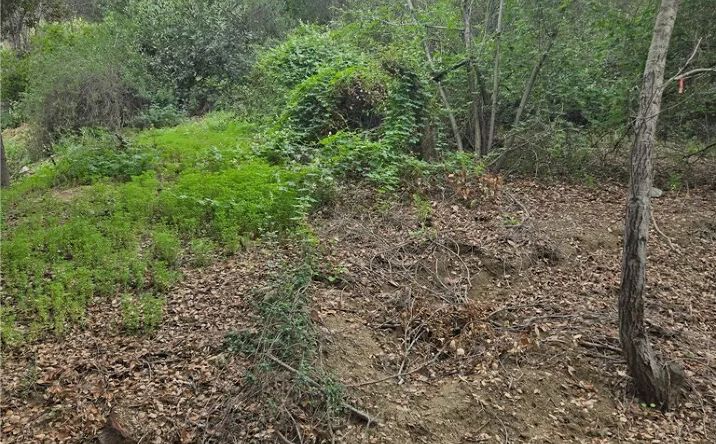 Pictures of Land property located at 16872 Sumach, Chino Hills, CA 91709 for sales - image #1