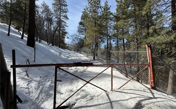 Pictures of Land property located at Linnet, Wrightwood, CA 92397 for sales - image #1
