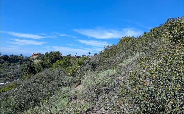 Pictures of Land property located at 504 E Avenida San Juan, San Clemente, CA 92672 for sales - image #1