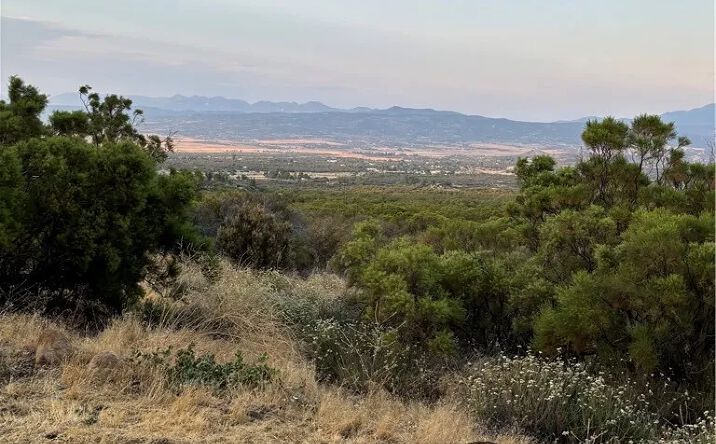 Pictures of Land property located at 45475 Chapman, Anza, CA 92539 for sales - image #1