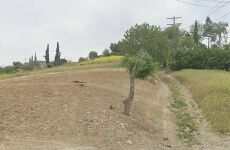30936445