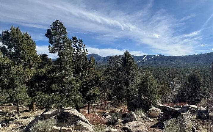 Pictures of Land property located at 42535 Pegasus, Big Bear Lake, CA 92315 for sales - image #1