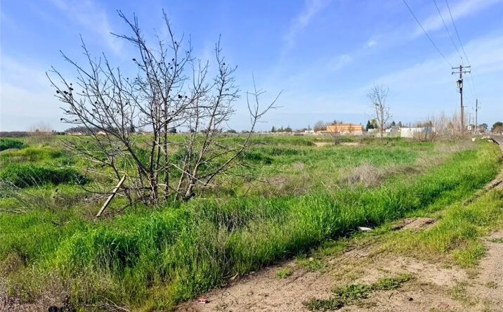 Pictures of Land property located at 8 Plainsburg, Le Grand, CA 95333 for sales - image #1