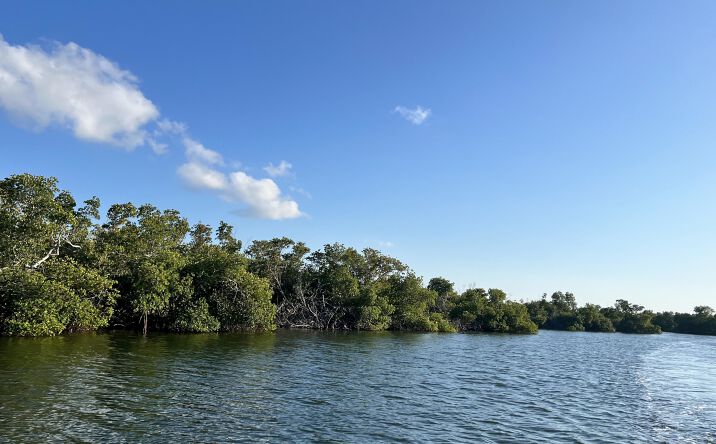 Pictures of Land property located at 4278 Pine Island Rd, Matlacha, FL 33993 for sales - image #1