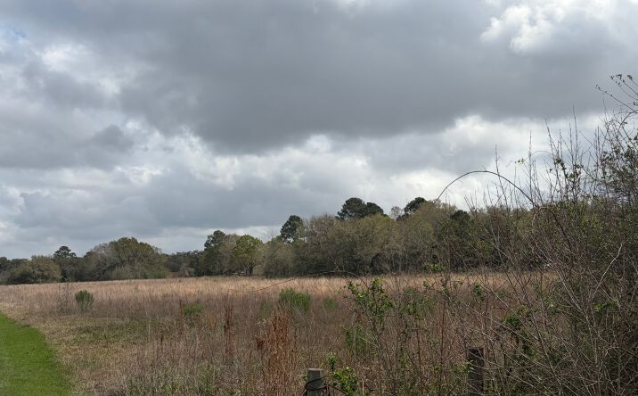 Pictures of Land property located at 10003 Hanselman Rd, Manvel, TX 77578 for sales - image #1