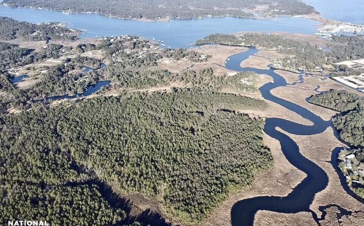 Pictures of Land property located at 0 Dog River Road, Theodore, AL 36582 for sales - image #1
