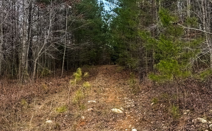 Pictures of Land property located at Old Chester Rd, Blacksburg, SC 29702 for sales - image #1