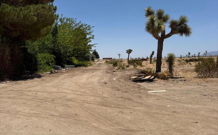 Pictures of Land property located at 92nd St E, Littlerock, CA 93543 for sales - image #1