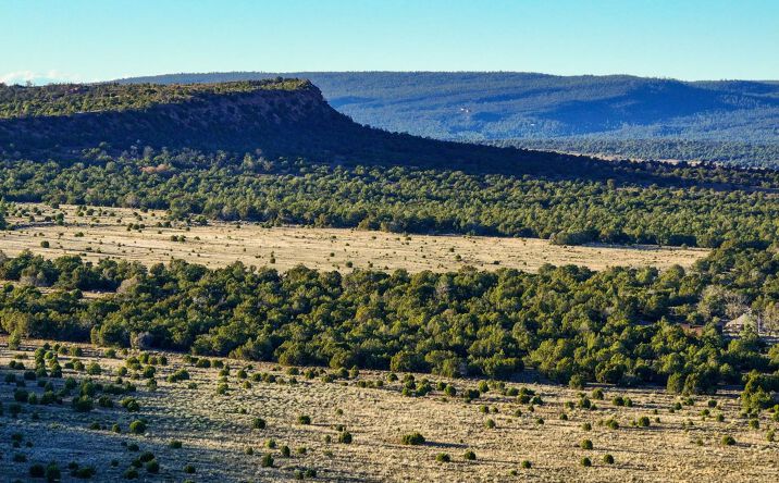 Pictures of Land property located at NM Hwy 53, Ramah, USA 87321 for sales - image #1