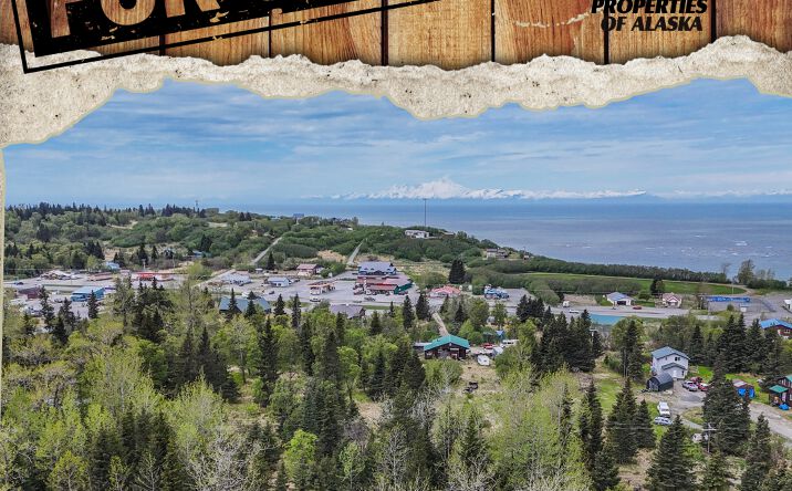 Pictures of Land property located at 66597 Bach Ave, Ninilchik, AK 99639 for sales - image #1