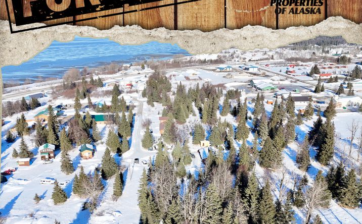 Pictures of Land property located at L4 Garroutte St, Ninilchik, AK 99639 for sales - image #1