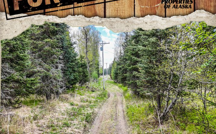 Pictures of Land property located at 15898 Garroutte Street, Ninilchik, AK 99639 for sales - image #1