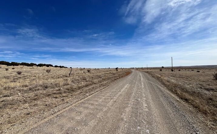 Pictures of Land property located at Lot 121 County Rd 113, Rye, CO 81069 for sales - image #1