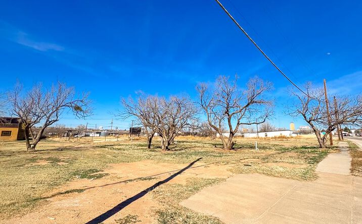 Pictures of Land property located at 806 &814 W 4th St, Big Spring, TX 79720 for sales - image #1