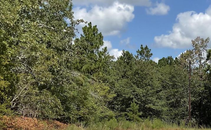 Pictures of Land property located at TBD Croft Mill Rd, Aiken, SC 29801 for sales - image #1