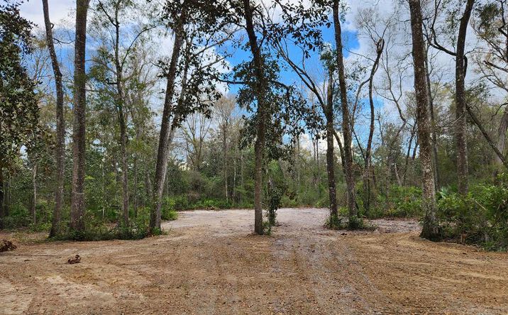 Pictures of Land property located at NW 75th Ave, Chiefland, FL 32626 for sales - image #1