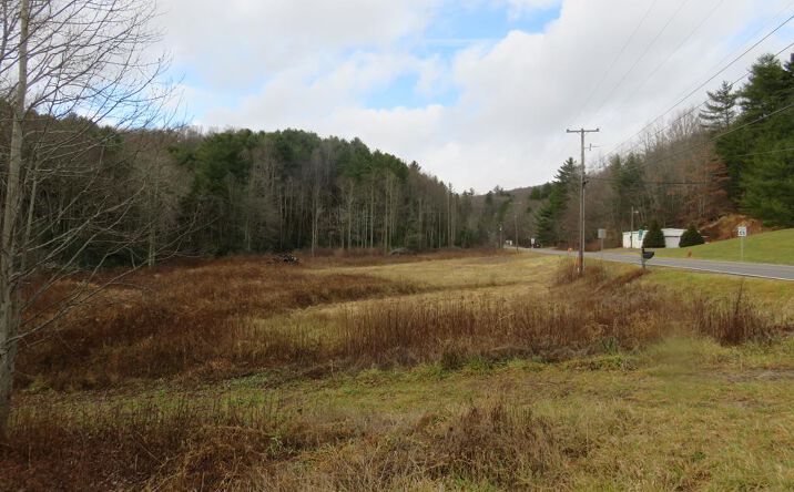 Pictures of Land, Multifamily property located at TBD Troutdale Highway, Troutdale, VA 24378 for sales - image #1