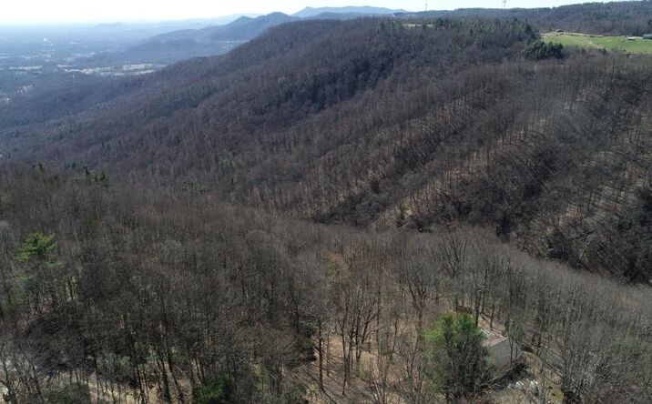 Pictures of Land, Multifamily property located at TBD Powhatan Trail, Fancy Gap, VA 24328 for sales - image #1