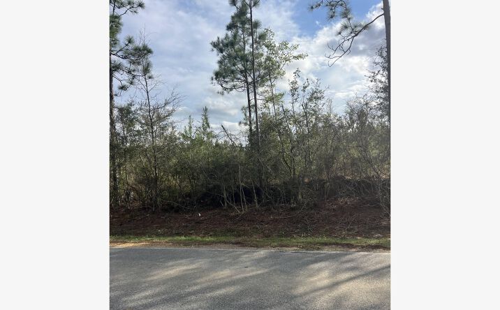 Pictures of Land property located at W Wortham Rd, Sauicer, MS 39574 for sales - image #1