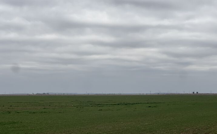 Pictures of Land property located at TBD Farm to Market 2568, Quanah, TX 79252 for sales - image #1