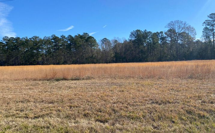 Pictures of Land property located at TBD Lake Charles, Leesville, LA 71446 for sales - image #1