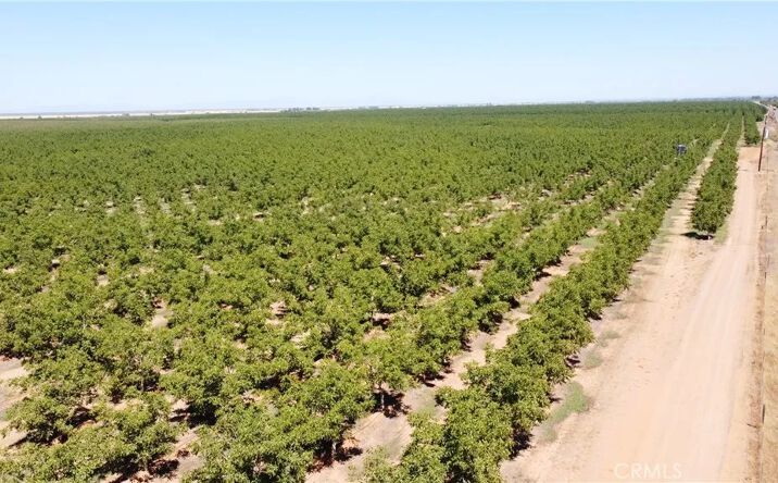 Pictures of Land property located at 7795 Rawson Road, Gerber, CA 96035 for sales - image #1