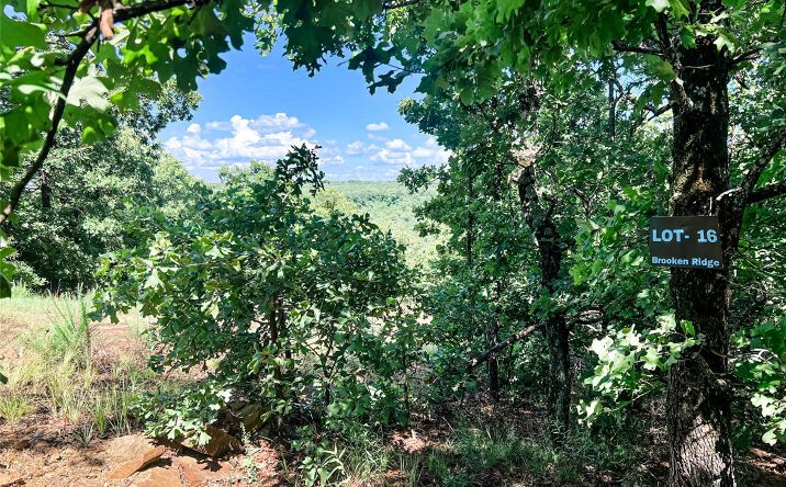 Pictures of Land property located at 16 Merlot, Stigler, OK 74462 for sales - image #1