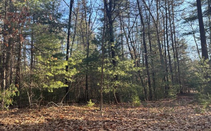 Pictures of Land property located at 1 Avenue B, Deerpark, NY 12729 for sales - image #1
