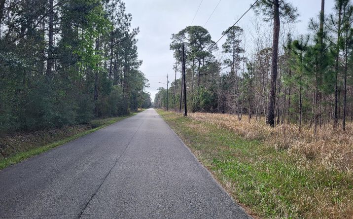 Pictures of Land property located at 0 Jones Road, Pass Christian, MS 39571 for sales - image #1