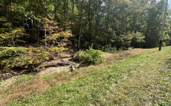 Pictures of Land property located at Goose Creek Road, South Bloomingville, OH 43152 for sales - image #1