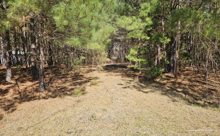 Pictures of Land, Multifamily property located at 1382 Brandywine, Summerton, SC 29148 for sales - image #1