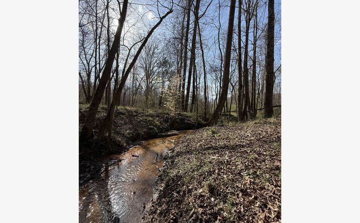 Pictures of Land property located at Saffold Rd, Buckhead, GA 30625 for sales - image #1