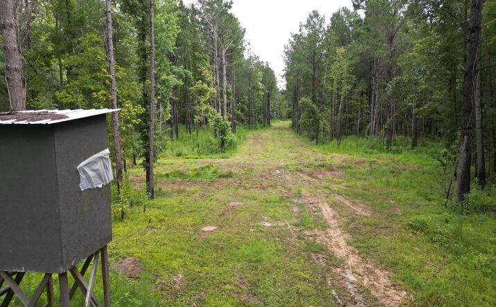 Pictures of Land property located at Tbd Seibert Rd, Roseland, LA 70456 for sales - image #1