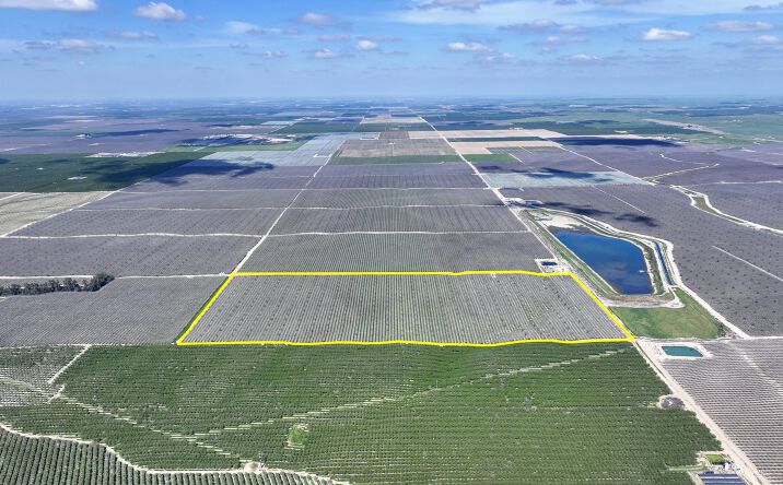 Pictures of Land property located at Kimberlina Rd, McFarland, CA 93250 for sales - image #1