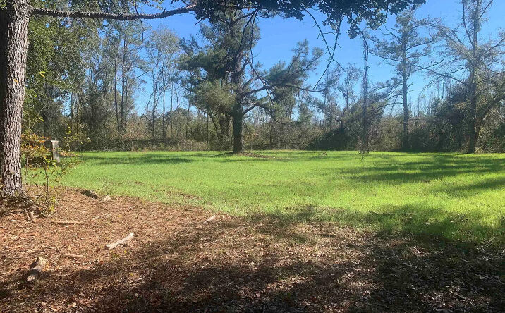 Pictures of Land property located at 1701 SW Moseley Hall Rd, Madison, FL 32340 for sales - image #1