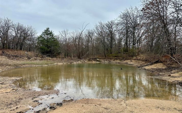 Pictures of Land property located at County Road 1600, Wynnewood, OK 73098 for sales - image #1