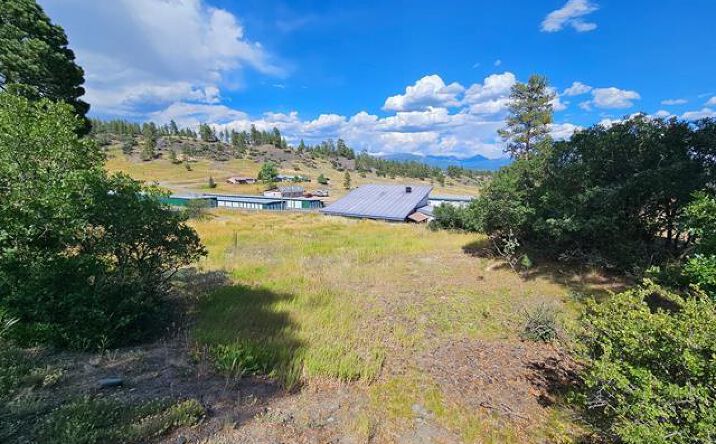 Pictures of Land property located at X 15th Place, Pagosa Springs, CO 81147 for sales - image #1