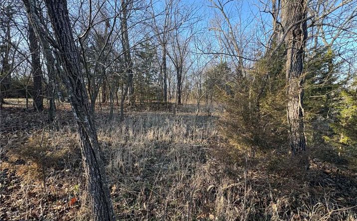 Pictures of Land, Special Purpose property located at 5 Shady Hollow Drive, Linn Valley, KS 66040 for sales - image #1