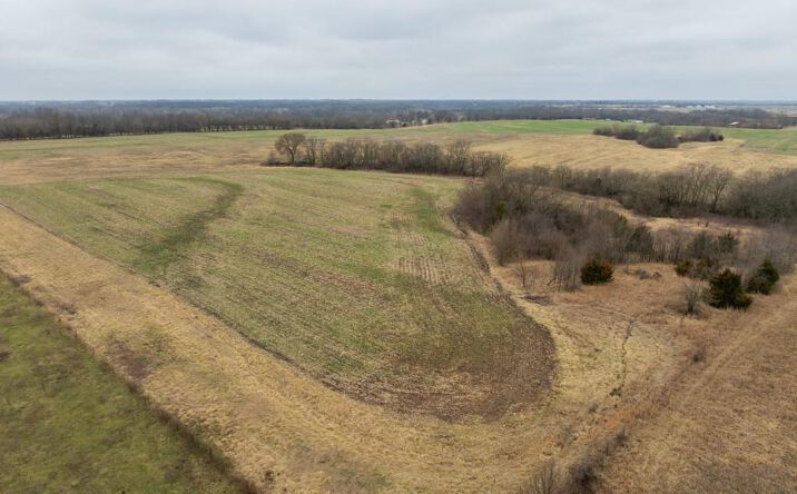 Pictures of Land, Special Purpose property located at S Old Drum Road, Garden City, MO 64747 for sales - image #1